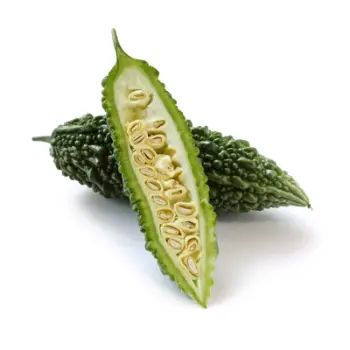 bitter gourd (4)-9831034-92171.webp